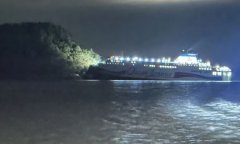 2024年11月至本年